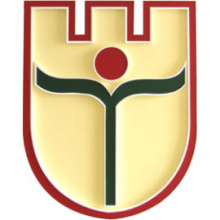 Логотип БрГУ